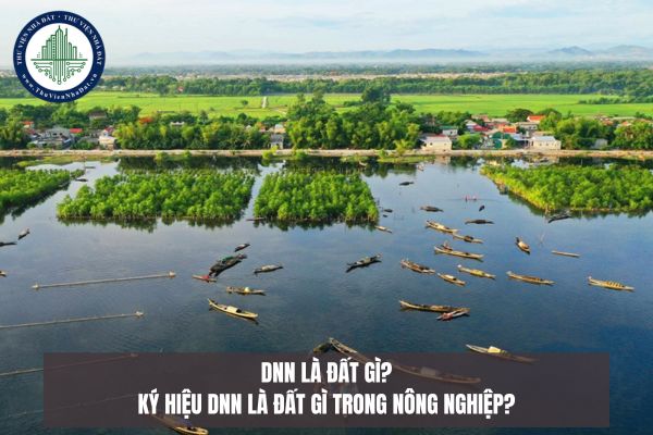 DNN là đất gì? Ký hiệu DNN là đất gì trong nông nghiệp?
