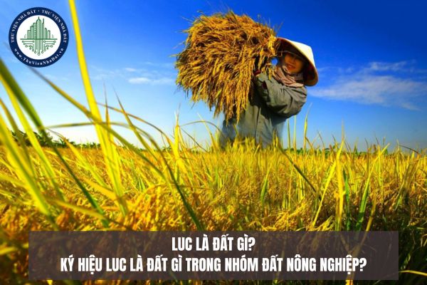 LUC là đất gì? Ký hiệu LUC là đất gì trong nhóm đất nông nghiệp?