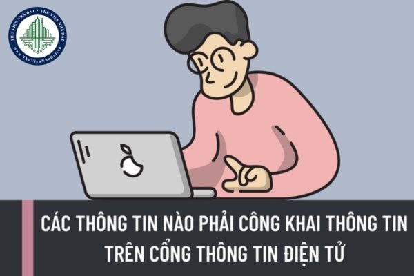 Các thông tin nào phải công khai thông tin trên cổng thông tin điện tử, trang thông tin điện tử?