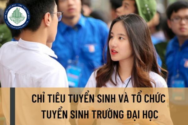 Chỉ tiêu tuyển sinh và công tác tổ chức tuyển sinh của trường đại học được quy định như thế nào?
