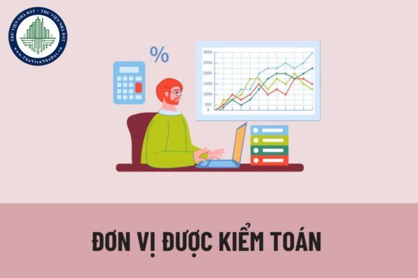 Đơn vị được kiểm toán nhà nước là những đơn vị nào? Quyền và nghĩa vụ của đơn vị được kiểm toán được quy định như thế nào? 