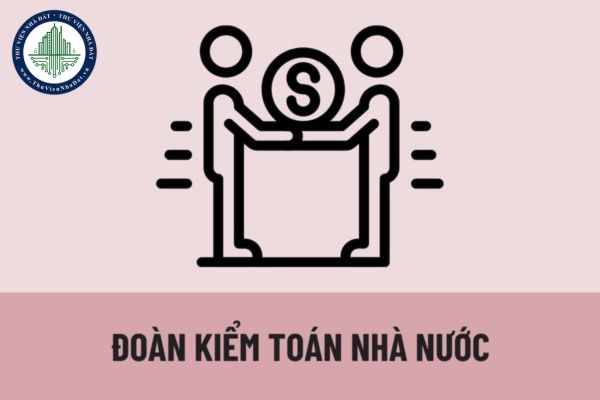 Khi nào thì Đoàn kiểm toán nhà nước được thành lập? Thành phần Đoàn kiểm toán nhà nước bao gồm những ai?