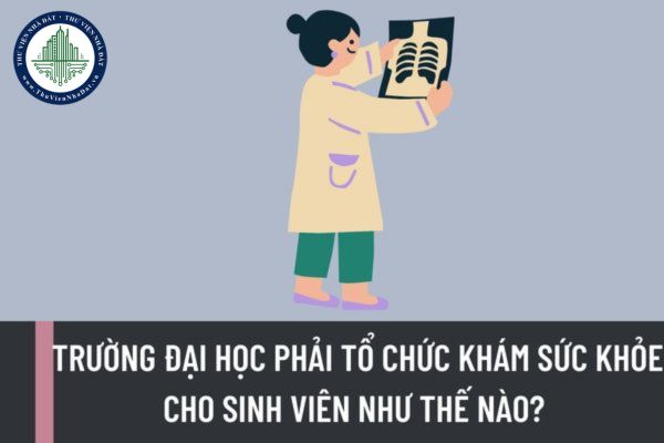 Trường đại học phải tổ chức khám sức khỏe cho sinh viên như thế nào? Trường đại học phải thực hiện chăm sóc sức khỏe cho sinh viên như thế nào?