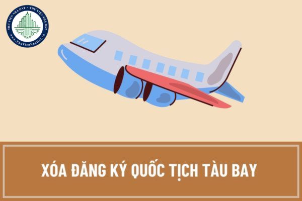 Muốn xóa đăng ký quốc tịch tàu bay thì cần chuẩn bị hồ sơ gì? Mẫu Tờ khai xóa đăng ký tàu bay hiện nay ra sao?