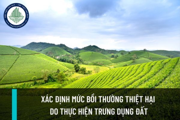 Người có trách nhiệm xác định mức bồi thường thiệt hại do thực hiện trưng dụng đất là người nào?