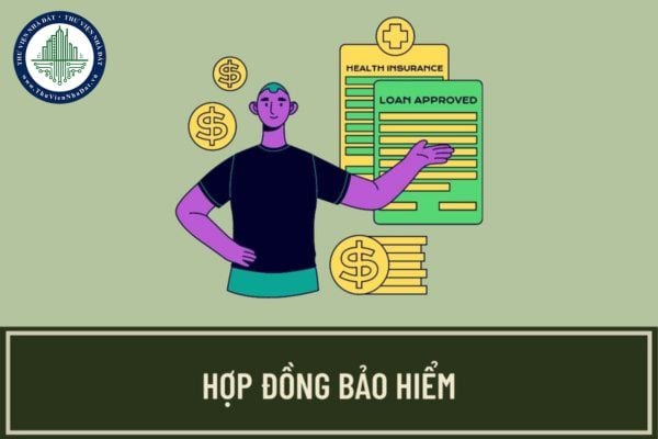 Nguyên tắc giao kết và thực hiện hợp đồng bảo hiểm quy định như thế nào? Trường hợp nào hợp đồng bảo hiểm vô hiệu?