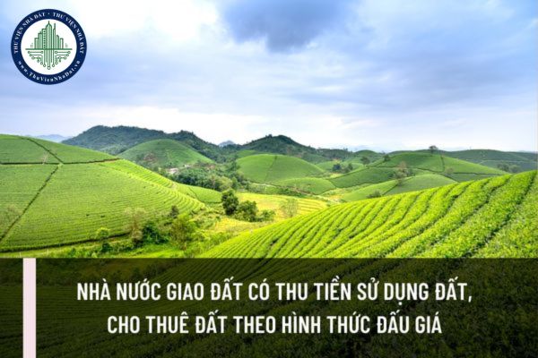 Nhà nước giao đất có thu tiền sử dụng đất, cho thuê đất theo hình thức đấu giá quyền sử dụng đất trong những trường hợp nào?