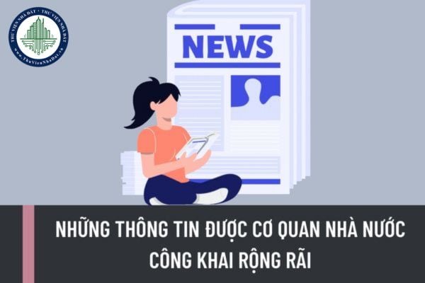 Những thông tin được cơ quan nhà nước công khai rộng rãi là thông tin nào? Hình thức công khai thông tin?