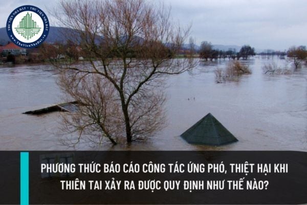 Phương thức báo cáo công tác ứng phó, thiệt hại khi thiên tai xảy ra được quy định như thế nào?