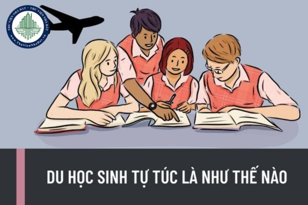 Du học sinh tự túc là như thế nào? Trách nhiệm của du học sinh tự túc được quy định như thế nào?