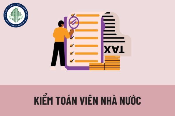 Tiêu chuẩn chung của Kiểm toán viên nhà nước là gì? Tiêu chuẩn bổ nhiệm vào ngạch Kiểm toán viên là gì?