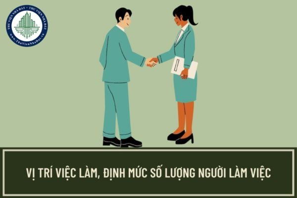 Vị trí việc làm và định mức số lượng người làm việc theo chức danh nghề nghiệp trong đơn vị sự nghiệp công lập lĩnh vực y tế được xác định dựa trên căn cứ nào?