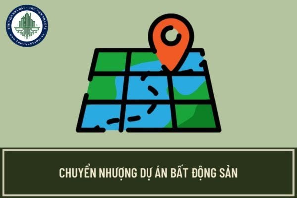 Việc chuyển nhượng toàn bộ hoặc một phần dự án bất động sản được thực hiện dựa trên nguyên tắc nào?