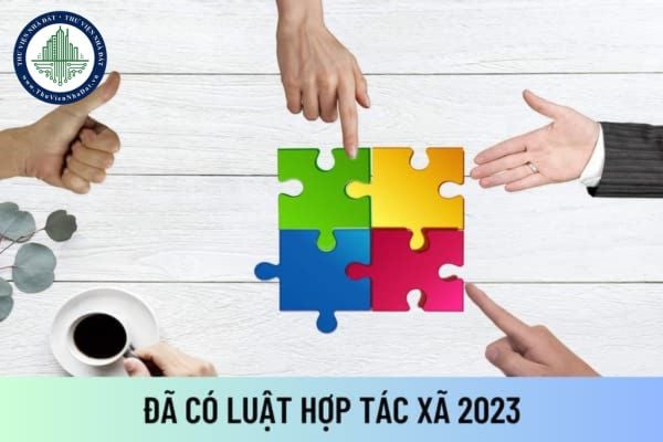 Đã có Luật Hợp tác xã 2023 đúng không? Thời điểm nào Luật Hợp tác xã 2023 sẽ có hiệu lực thi hành?