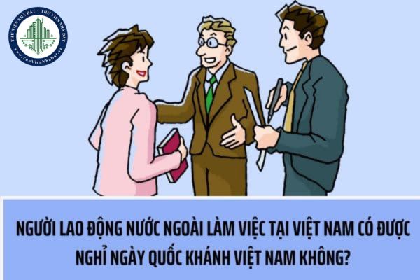 thuviennhadat.vn