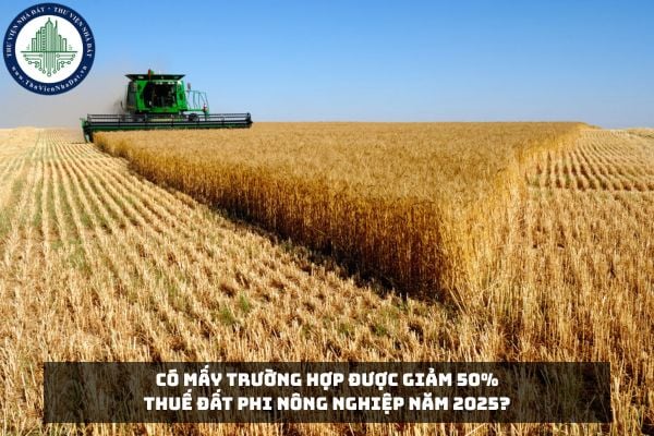 Có mấy trường hợp được giảm 50% thuế đất phi nông nghiệp năm 2025?