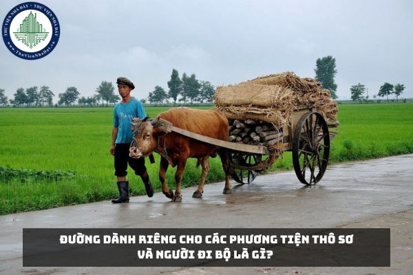 Đường dành riêng cho các phương tiện thô sơ và người đi bộ là gì?