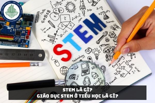 STEM là gì? Giáo dục STEM ở tiểu học là gì?