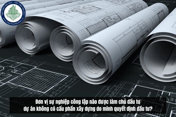 Đơn vị sự nghiệp công lập nào được làm chủ đầu tư dự án không có cấu phần xây dựng do mình quyết định đầu tư?