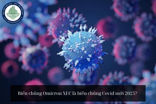 Biến chủng Omicron XEC là biến chủng Covid mới 2025? 