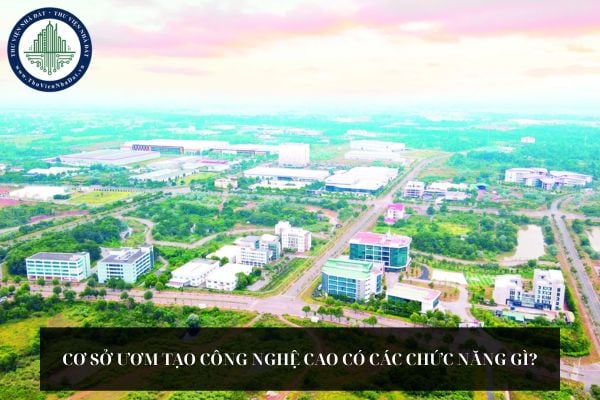 Cơ sở ươm tạo công nghệ cao có các chức năng gì?