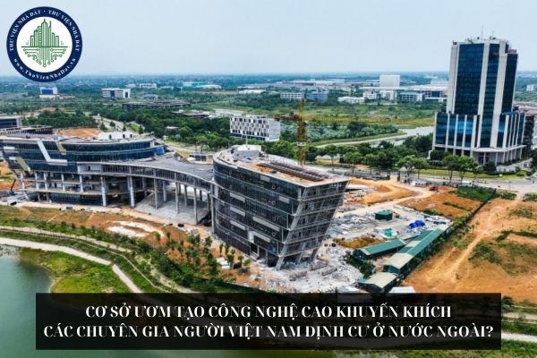 Cơ sở ươm tạo công nghệ cao khuyến khích các chuyên gia người Việt Nam định cư ở nước ngoài?