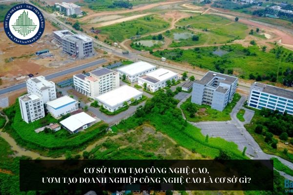 Cơ sở ươm tạo công nghệ cao, ươm tạo doanh nghiệp công nghệ cao là cơ sở gì?