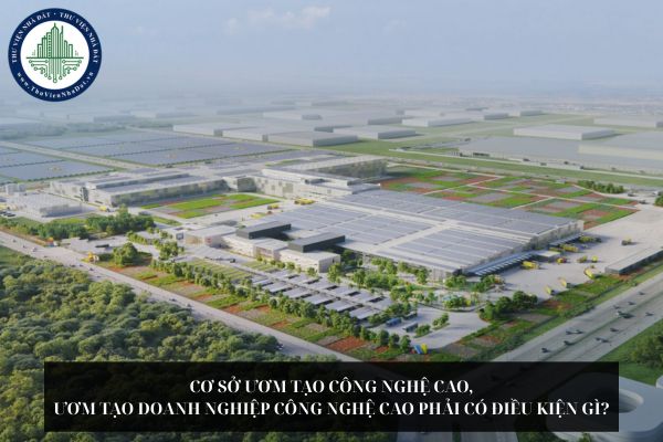 Cơ sở ươm tạo công nghệ cao, ươm tạo doanh nghiệp công nghệ cao phải có điều kiện gì?