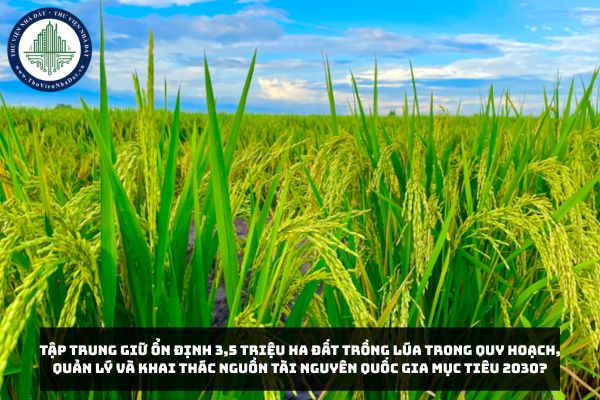 Tập trung giữ ổn định 3,5 triệu ha đất trồng lúa trong quy hoạch, quản lý và khai thác nguồn tài nguyên quốc gia mục tiêu 2030?