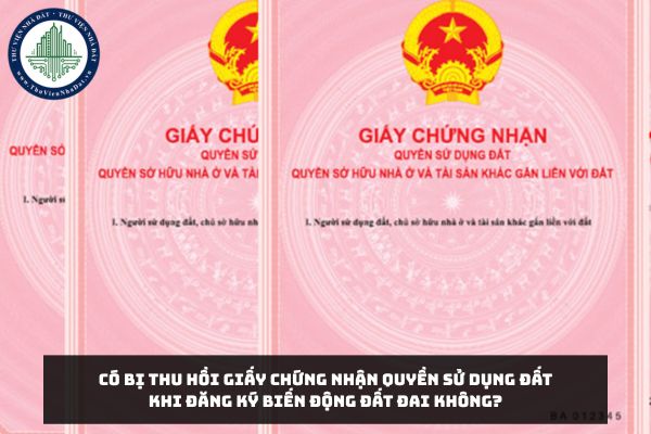 Có bị thu hồi Giấy chứng nhận quyền sử dụng đất khi đăng ký biến động đất đai không?