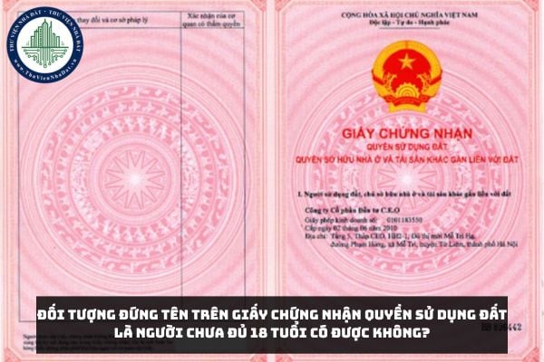 Đối tượng đứng tên trên Giấy chứng nhận quyền sử dụng đất là người chưa đủ 18 tuổi có được không?