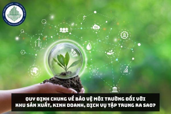 Quy định chung về bảo vệ môi trường đối với khu sản xuất, kinh doanh, dịch vụ tập trung ra sao?