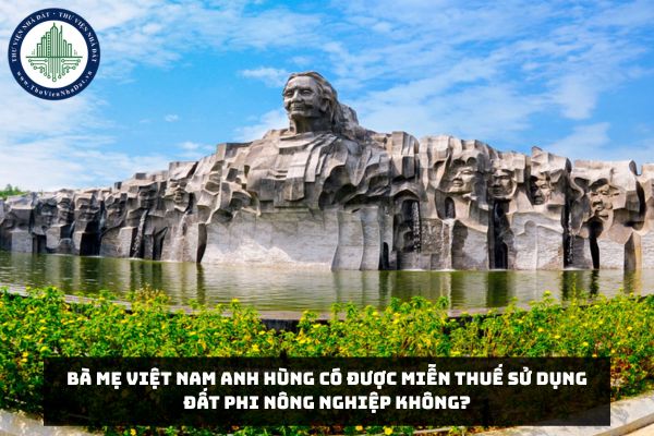 Bà mẹ Việt Nam anh hùng có được miễn thuế sử dụng đất phi nông nghiệp không?