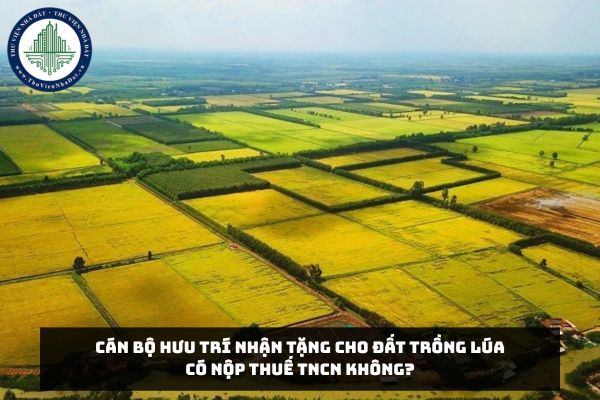 Cán bộ hưu trí nhận tặng cho đất trồng lúa có nộp thuế TNCN không?