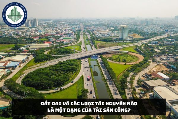Đất đai và các loại tài nguyên nào là một dạng của tài sản công?