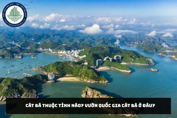 Cát Bà thuộc tỉnh nào? Vườn quốc gia Cát Bà ở đâu?