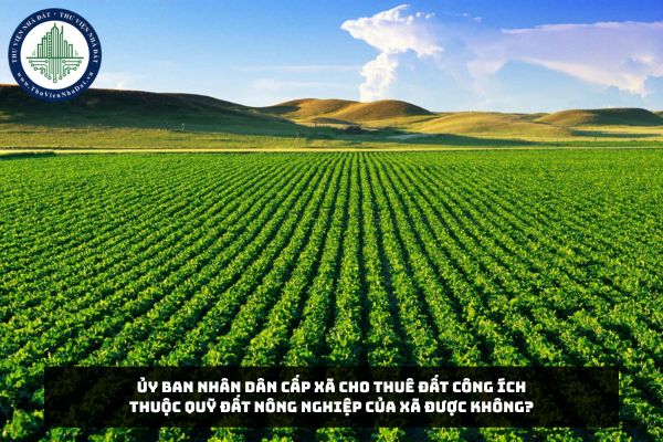 Ủy ban nhân dân cấp xã cho thuê đất công ích thuộc quỹ đất nông nghiệp của xã được không?