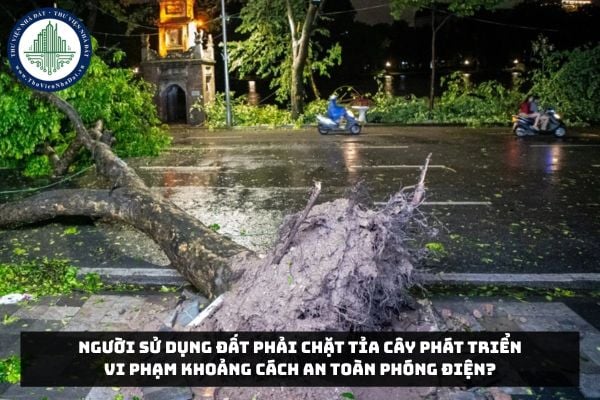 Người sử dụng đất phải chặt tỉa cây phát triển vi phạm khoảng cách an toàn phóng điện?
