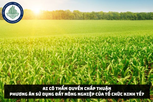 Ai có thẩm quyền chấp thuận phương án sử dụng đất nông nghiệp của tổ chức kinh tế?
