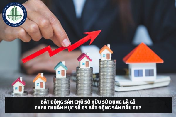 Bất động sản chủ sở hữu sử dụng là gì theo Chuẩn mực số 05 Bất động sản đầu tư?