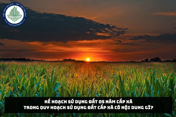 Kế hoạch sử dụng đất 05 năm cấp xã trong quy hoạch sử dụng đất cấp xã có nội dung gì?