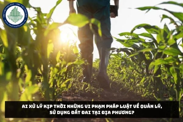 Ai xử lý kịp thời những vi phạm pháp luật về quản lý, sử dụng đất đai tại địa phương?