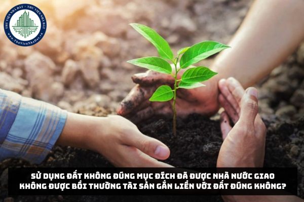 Sử dụng đất không đúng mục đích đã được Nhà nước giao không được bồi thường tài sản gắn liền với đất đúng không?