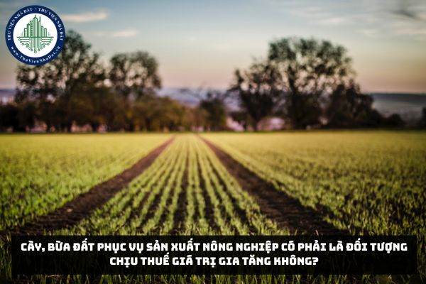 Cày, bừa đất phục vụ sản xuất nông nghiệp có phải là đối tượng chịu thuế giá trị gia tăng không?