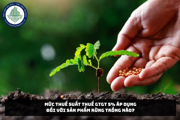 Mức thuế suất thuế GTGT 5% áp dụng đối với sản phẩm rừng trồng nào?