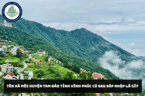 Tên xã mới huyện Tam Đảo tỉnh Vĩnh Phúc cũ sau sáp nhập là gì?