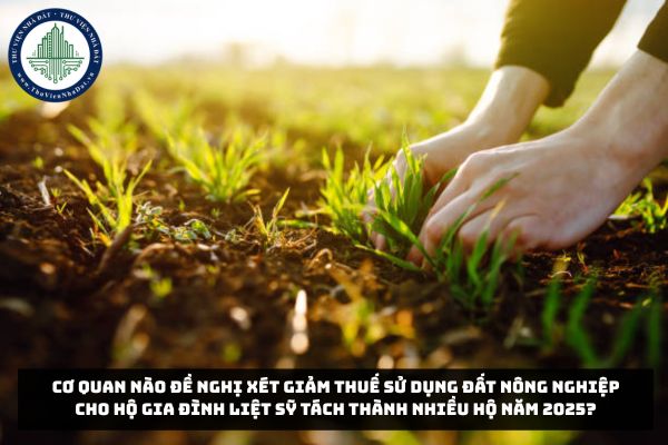 Cơ quan nào đề nghị xét giảm thuế sử dụng đất nông nghiệp cho hộ gia đình liệt sỹ tách thành nhiều hộ năm 2025?