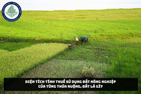 Diện tích tính thuế sử dụng đất nông nghiệp của từng thửa ruộng, đất là gì?