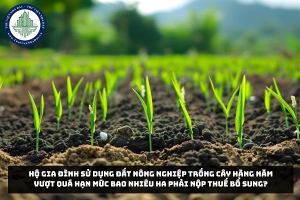 Hộ gia đình sử dụng đất nông nghiệp trồng cây hàng năm vượt quá hạn mức bao nhiêu ha phải nộp thuế bổ sung?