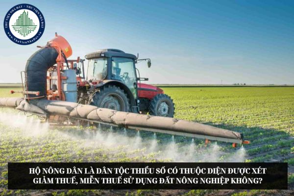 Hộ nông dân là dân tộc thiểu số có thuộc diện được xét giảm thuế, miễn thuế sử dụng đất nông nghiệp không?